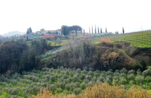 Agriturismo Terre di Toscana - Foto 79