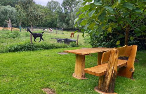 Hof Albersmeier Hüttinghausen / Urlaub am Stall - Foto 60