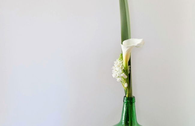 Os Lambráns - Foto 49