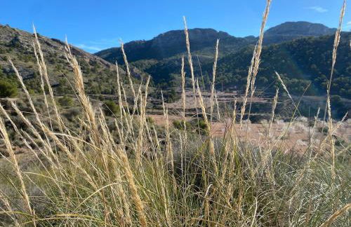 Maison typique avec vue dégagée sur la vallée - Photo 10