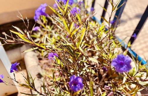 Oasis Meloneras cerca del mar - Photo 45