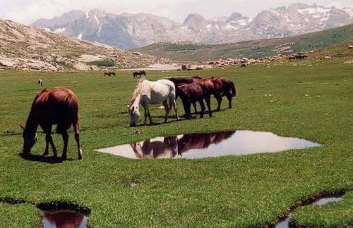 Residence U MELU GRAND T3 JAUNE à l'étage - Foto 51