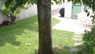 Escapade Île de Ré - Foto 3, Garden