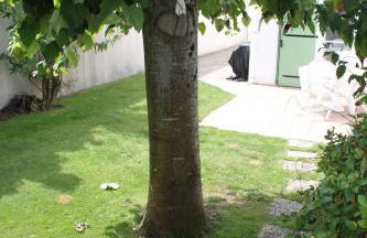 Escapade Île de Ré - Foto 3