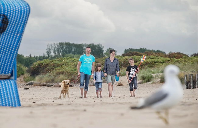 Reihenhaus im Ostseeresort Dampland - Foto 77