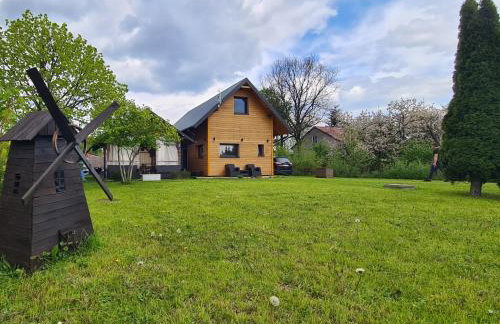 Studio Brzózka - Foto 2