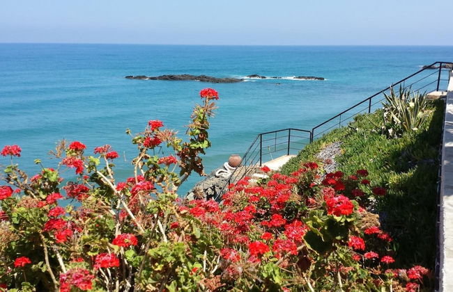 Sun Camero Apartments - Photo 28