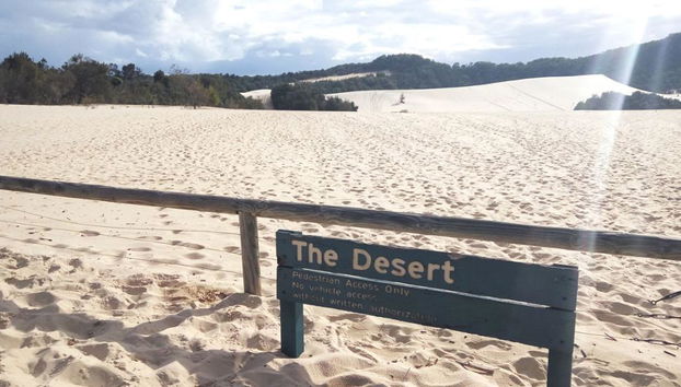 Moreton Island Get Wrecked - Escursione di un giorno intero - Foto 4