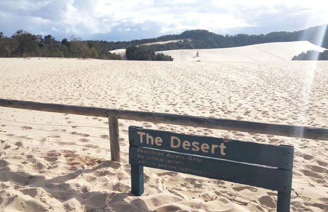 Moreton Island Get Wrecked - Escursione di un giorno intero - Foto 4