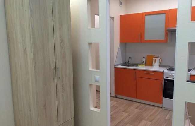 Apartment on Geologorazvedchikov 44a - Photo 12