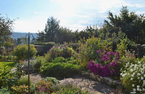 Haulfryn Cottage - Foto 14