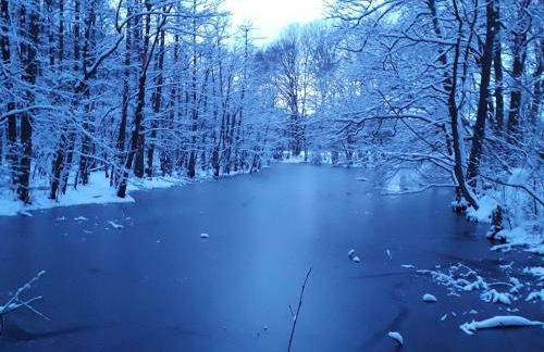 Holiday Home Itzinger by Interhome - Foto 18