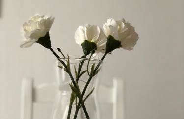 Apartamentos Ajabo Adeje - Foto 10