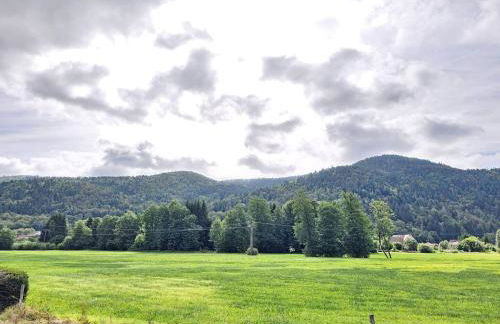 Maison au pied des 1000 étangs - Foto 56