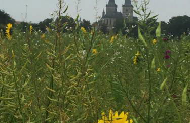 Ferienhaus Am Dombogen - BARRIEREFREI - 2 Schlafzimmer ab 3 Personen - mindestens 3 Nächte Aufenthalt - Foto 6