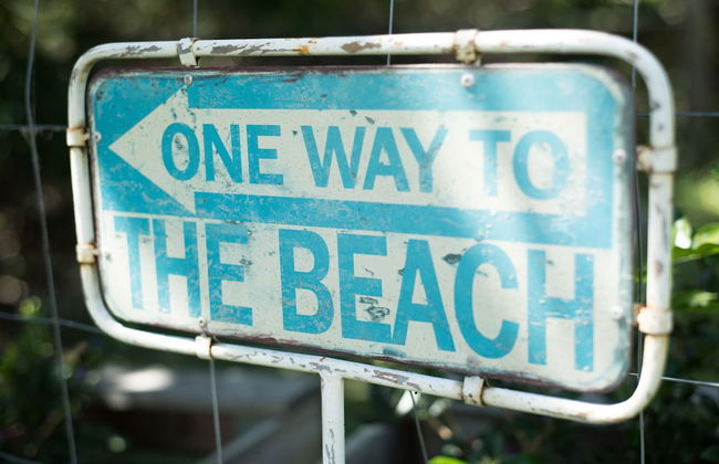 Fig Tree Retro Studio - Foto 39