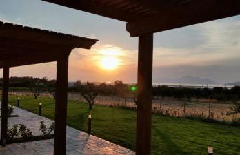 Olive Tree Garden - Foto 4