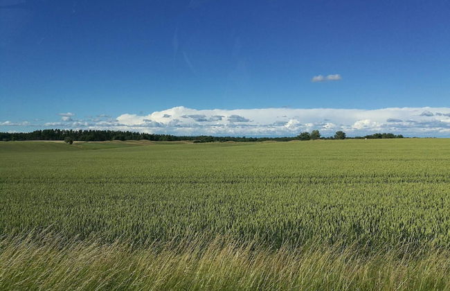 6 Person Holiday Home in Degeberga-by Traum - Foto 11