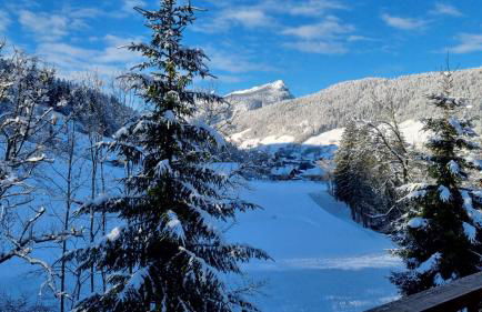 TARDEVANT 21 - Photo 18