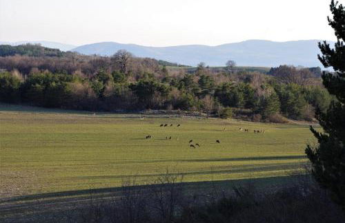 Le Moulin aux Lavandes - Foto 9
