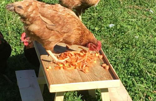 Charming 2-Bed Cabin in Domfront-en-Poiraie - Foto 23