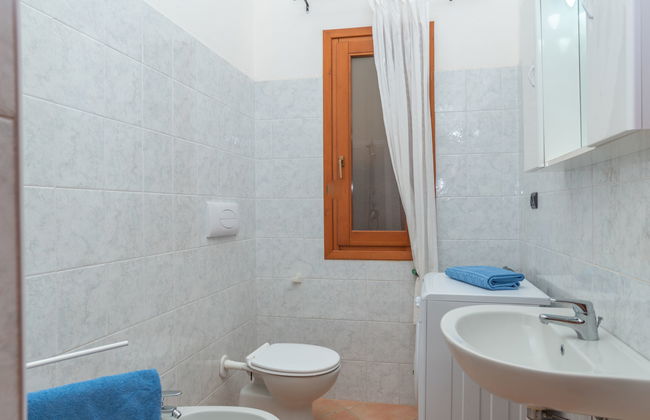 Corbezzolo - Foto 14