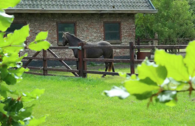 Peacefule Holiday Home for 2 People in Heiloo near Egmond - Foto 33