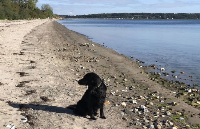 "Lander" - 20m from the sea - Foto 4