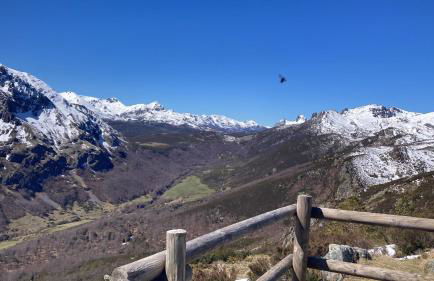 Alojamiento esqui montaña Cofiñal - Foto 22