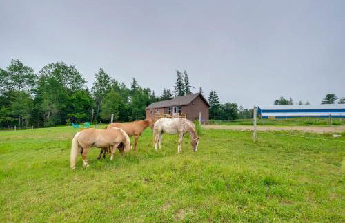 Historic Cottage on Horse Farm FirePit and BBQ - Photo 22