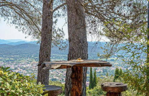 Amazing Home In Solliès-Ville - Foto 13