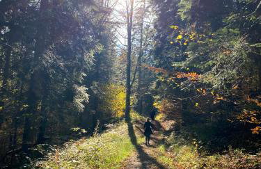 Apartamenty Otulina - Foto 42