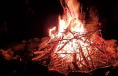 Catskills retreat - ATV, Hot tub, hiking, fishing - Foto 8