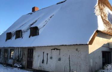 Ferienwohnungen im Reetdachhaus - Foto 1