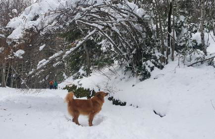 COMO EN TU CASA Canfranc Estación - Foto 42