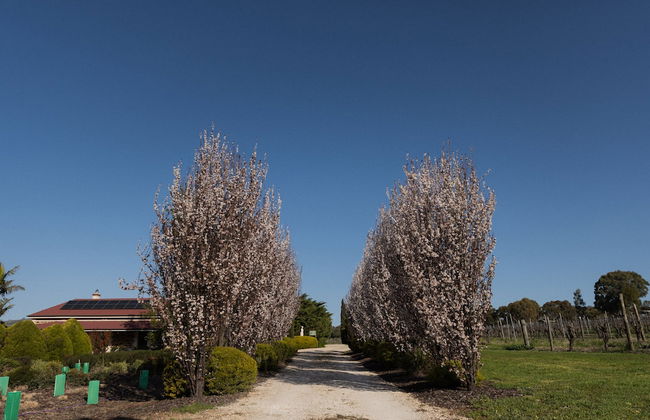 Barossa Shiraz Estate - Photo 48