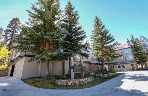 Sierra Megeve #8 Condo - Foto 11