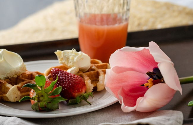 Cathedral Yard in Exeter - Foto 21