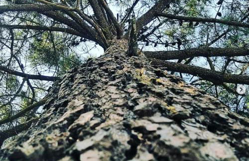 Les Pins - 3 pièces - Vue sur piscine - 600m mer - Les Sables d'Olonne - Foto 40