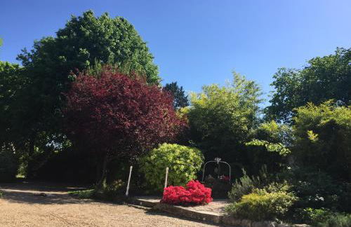 Loire Valley Medieval Getaway - Photo 10