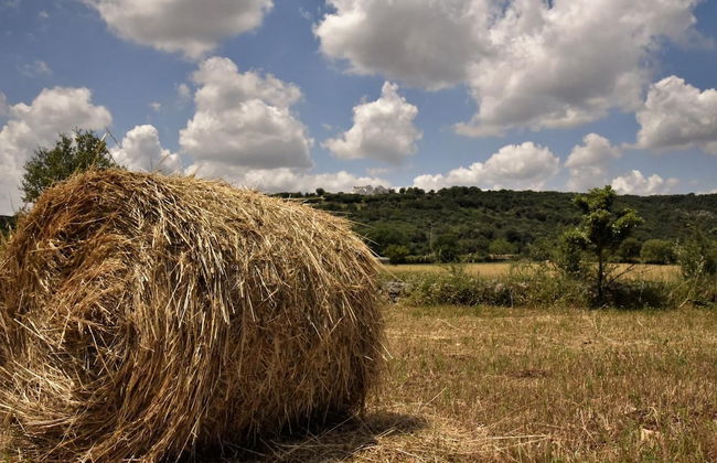 Villa Belvedere - Foto 18