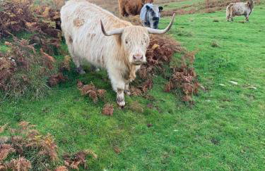 Close to beaches and golf courses - Foto 16