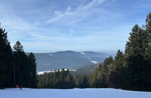 Ciao Fewo Birkenwald 你好白桦林民宿 - Foto 46