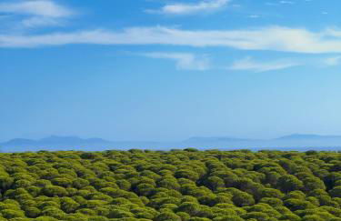 Stone House - Foto 22