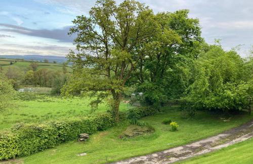 Beautiful Garden Cottage, close to Llandeilo. - Photo 8
