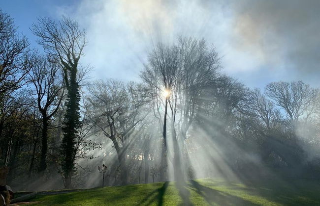 Elm - Bell Tent 2-4 Person Anglesey, North Wales - Photo 19