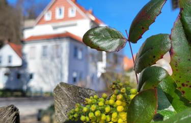 Haus Am Beckerberg im Harz - Foto 32