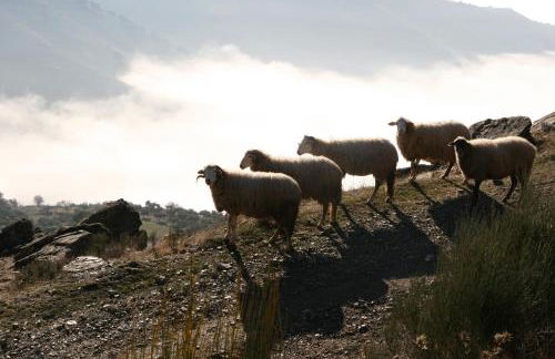 Sea House - Photo 44