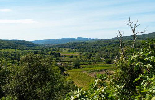 Le perchoir - Foto 28