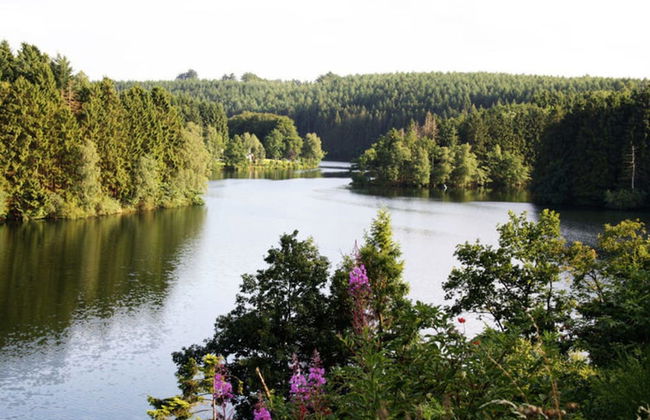 Longfaye Chalet With Sauna - Foto 31